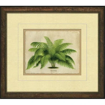 Wendover Art Group Small Crackled Horizontal Palm I - Picture Frame Painting On Paper In Green