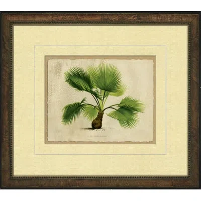 Wendover Art Group Small Crackled Horizontal Palm Iv - Picture Frame Painting On Paper In Green;beige