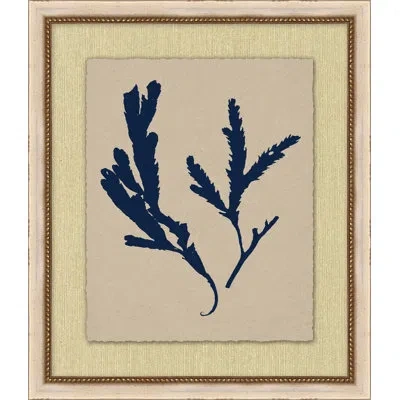 Wendover Art Group Small Navy Sea Fan 1 - Picture Frame Painting In Multi