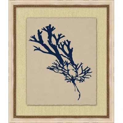 Wendover Art Group Small Navy Sea Fan 5 - Picture Frame Painting In Multi