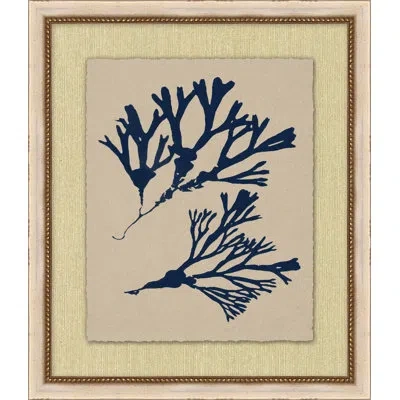 Wendover Art Group Small Navy Sea Fan 6 - Picture Frame Painting In Multi