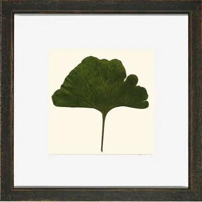 Wendover Art Group Small Pressed Leaves Ii - Picture Frame Photograph On Glass In Green;beige