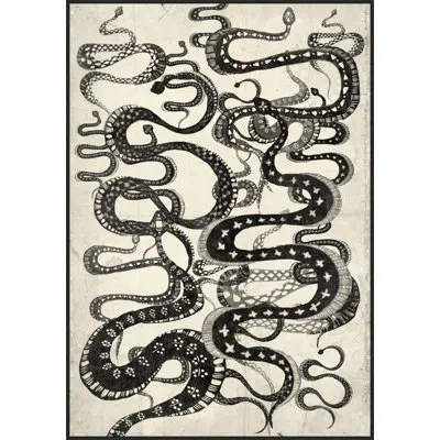Wendover Art Group Snake Pathway By Thom Filicia - Floater Frame Graphic Art On Canvas In Black;beige