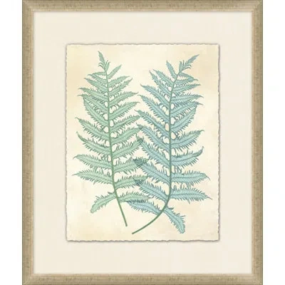 Wendover Art Group Spring Ferns 1 - Picture Frame Painting On Paper In Green;beige