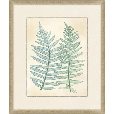 Wendover Art Group Spring Ferns 2 - Picture Frame Painting On Paper In Green;beige