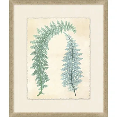 Wendover Art Group Spring Ferns 3 - Picture Frame Painting On Paper In Green;beige