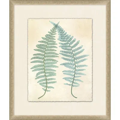 Wendover Art Group Spring Ferns 4 - Picture Frame Painting On Paper In Green;beige