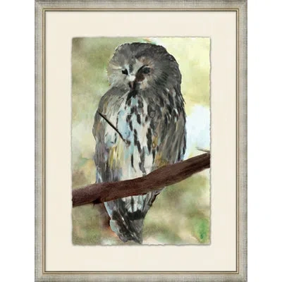 Wendover Art Group Spring Owl 1 - Picture Frame Painting On Paper In Green;gray