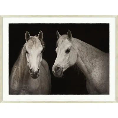 Wendover Art Group Stable Shadows By Lillian August - Picture Frame Photograph On Paper In Black;white
