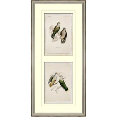 Wendover Art Group Stacked Pastel Birds I - Picture Frame Painting On Paper In Multicolor