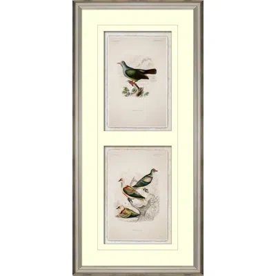 Wendover Art Group Stacked Pastel Birds Ii - Picture Frame Painting On Paper In Multicolor