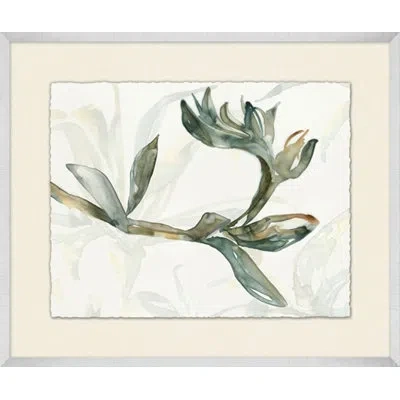 Wendover Art Group Succulent 1 - Picture Frame Painting On Paper In Gray;beige