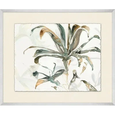 Wendover Art Group Succulent 2 - Picture Frame Painting On Paper In Brown;green