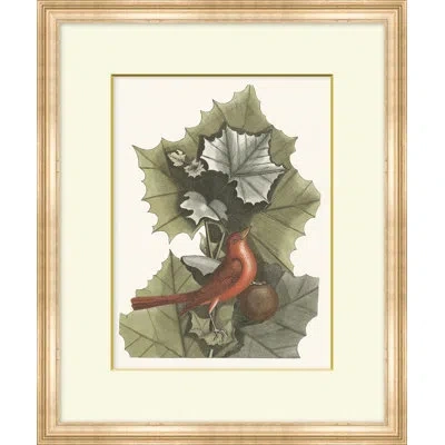Wendover Art Group Summer Bird 3 - Picture Frame Painting On Paper In Brown;green;gray