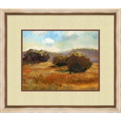 Wendover Art Group Summer Of Sonoma - Picture Frame Painting On Paper In Blue;brown;orange