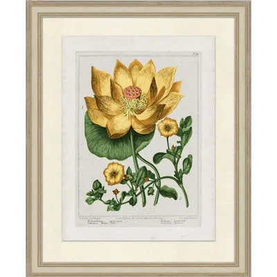 Wendover Art Group Sundance Floral 2 In Yellow,green,white,black