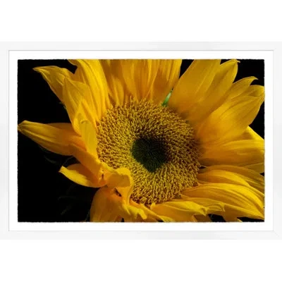 Wendover Art Group Sunflower (wla1592) In Yellow,black