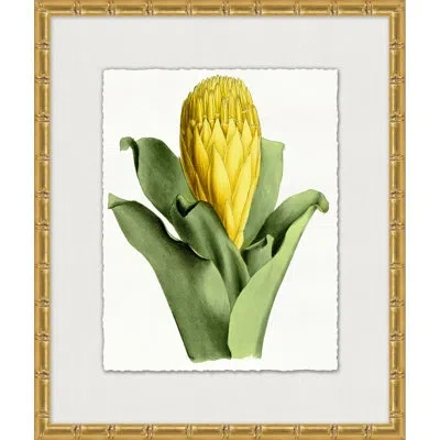 Wendover Art Group Sunny Botany 1 - Floater Frame Painting In Yellow