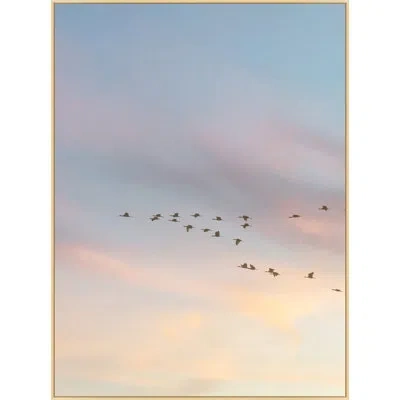 Wendover Art Group Sunset Flock 1 By Lillian August - Floater Frame Photographic Print On Canvas In Blue;yellow;pink