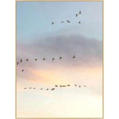 Wendover Art Group Sunset Flock 2 By Lillian August - Floater Frame Photographic Print On Canvas In Blue;yellow;pink