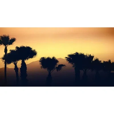 Wendover Art Group Sunset In The Palms 1 - No Frame Print On Aluminum In Orange