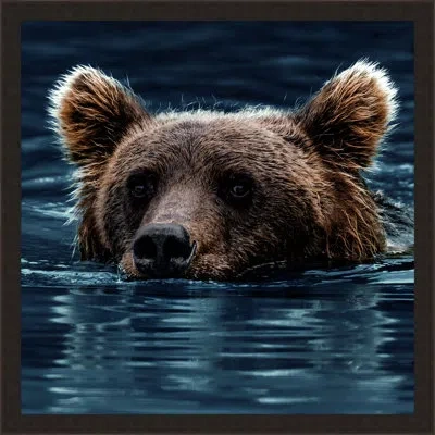 Wendover Art Group Swimming Brown Bear In Navy,brown,black