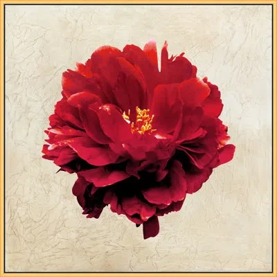 Wendover Art Group Textured Petals 1 By Lillian August - Single Picture Frame Photograph In Red;yellow