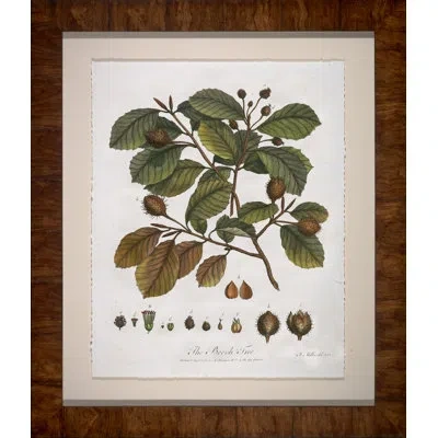 Wendover Art Group The Beach Tree - Picture Frame Painting On Paper In Multicolor