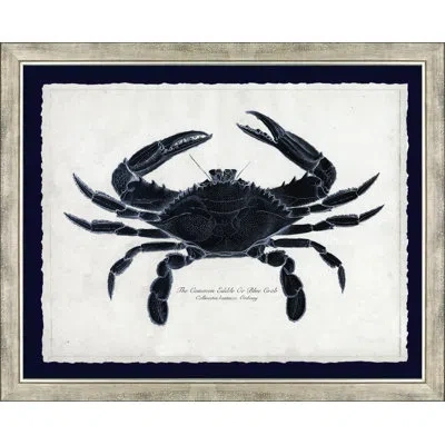 Wendover Art Group The Blue Crab - Picture Frame Painting On Paper In Black;white