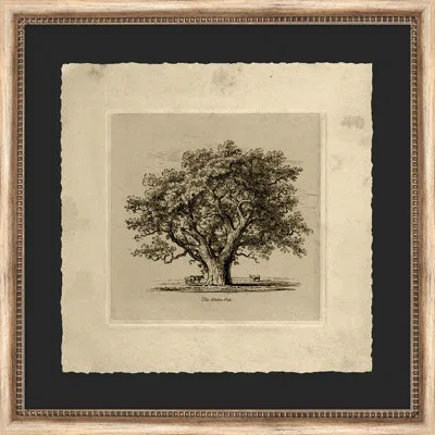 Wendover Art Group The Wolton Oak - Picture Frame Painting On Paper In Black;gray