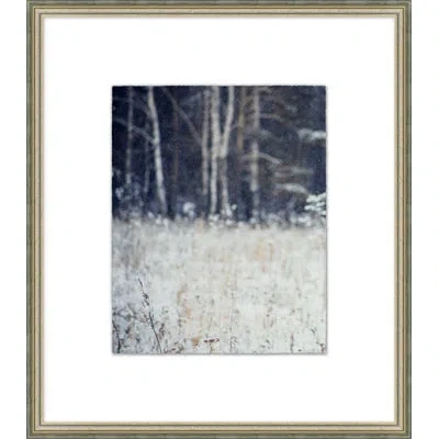 Wendover Art Group Thom Filicia Home Its Only Flurries 2 Picture Frame Photograph On Paper In Gray;ivory