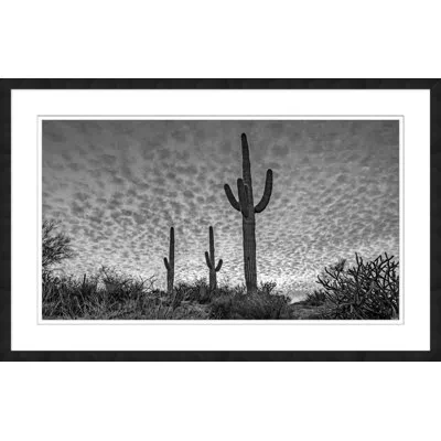 Wendover Art Group Three Cacti By Christopher Kennedy - Picture Frame Photograph On Paper In Black;white