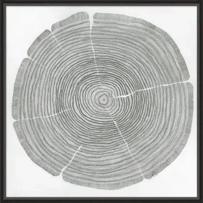 Wendover Art Group Time Lines 1 - Picture Frame Drawing Set On Paper In Black;white