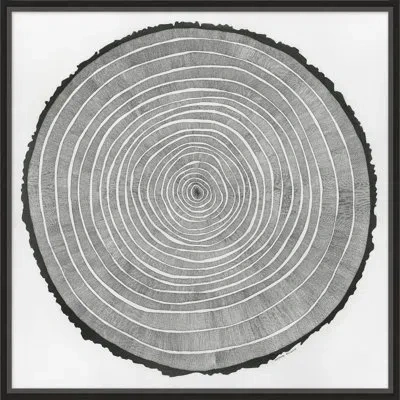 Wendover Art Group Time Lines 2 - Picture Frame Drawing Set On Paper In Black;white