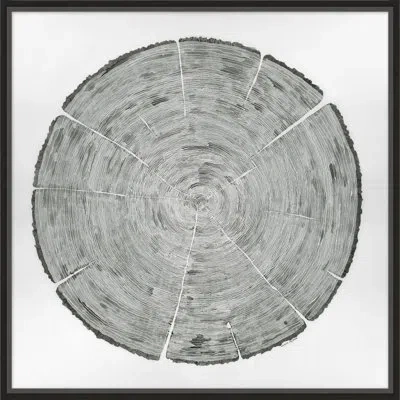 Wendover Art Group Time Lines 3 - Picture Frame Drawing Set On Paper In Black;white