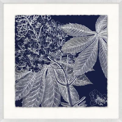 Wendover Art Group Transitional Leaf Composition On Navy 1 - Picture Frame Graphic Art On Paper In Blue;white