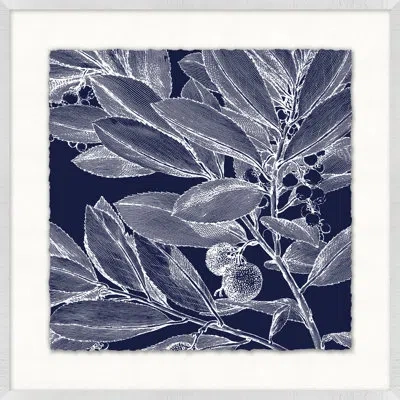 Wendover Art Group Transitional Leaf Composition On Navy 2 - Picture Frame Graphic Art On Paper In Blue;white