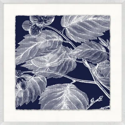 Wendover Art Group Transitional Leaf Composition On Navy 8 - Picture Frame Graphic Art On Paper In Blue;white