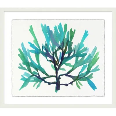 Wendover Art Group Transparaent Sea Life 4 - Painting On Paper In Multi