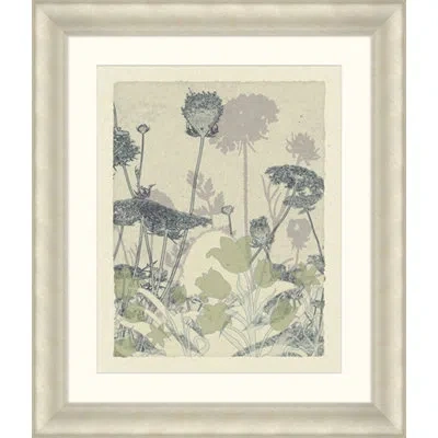 Wendover Art Group Transparent Blooms 3 - Picture Frame Graphic Art On Paper In Gray;ivory