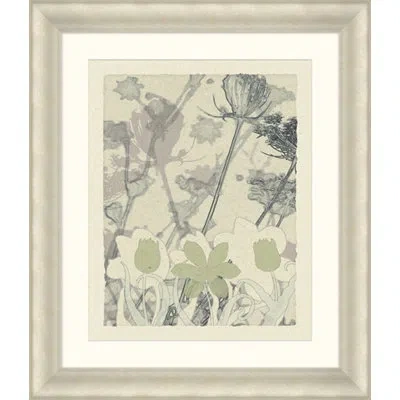 Wendover Art Group Transparent Blooms 4 - Picture Frame Graphic Art On Paper In Green;gray