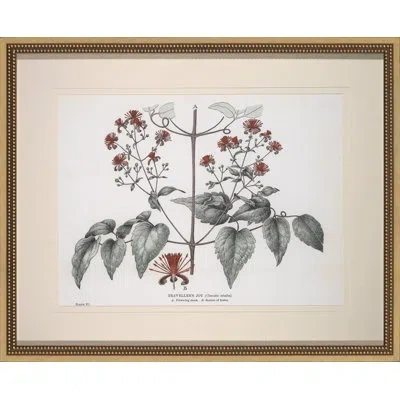 Wendover Art Group Traveller's Joy - Picture Frame Graphic Art In White;gray;red