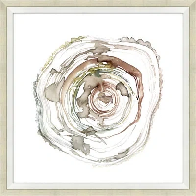 Wendover Art Group Tree Rings 1 - Picture Frame Painting On Paper In Multi