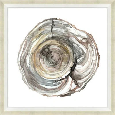 Wendover Art Group Tree Rings 2 - Picture Frame Painting Print On Paper In Brown;white;beige