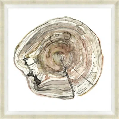 Wendover Art Group Tree Rings 3 - Picture Frame Painting On Paper In Multi