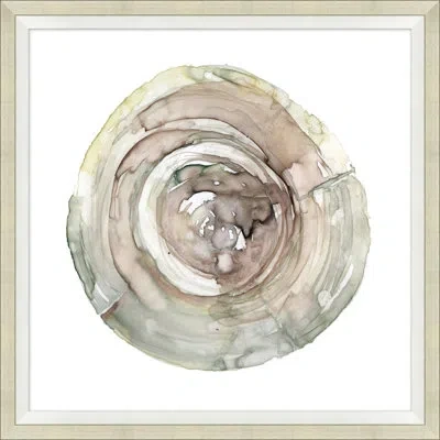 Wendover Art Group Tree Rings 4 - Picture Frame Painting On Paper In White
