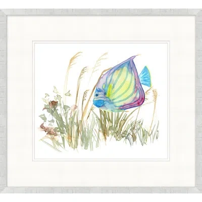 Wendover Art Group Tropical Fish 1 - Picture Frame Painting On Paper In Blue;green;yellow