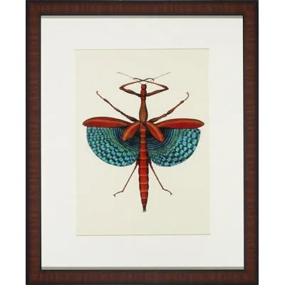 Wendover Art Group Tropical Insect Iii - Picture Frame Graphic Art In Blue;orange