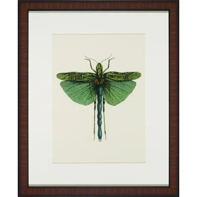 Wendover Art Group Tropical Insect Iv - Picture Frame Graphic Art On Glass In Black;green;beige