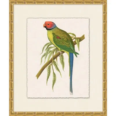 Wendover Art Group Tropical Parrot 6 - Picture Frame Painting On Paper In Blue;brown;green